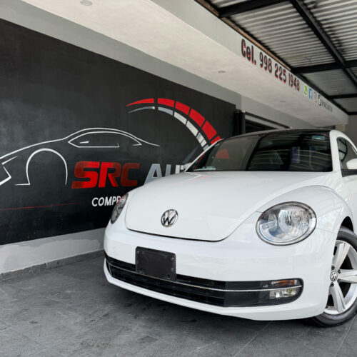 Volkswagen Beetle 2015